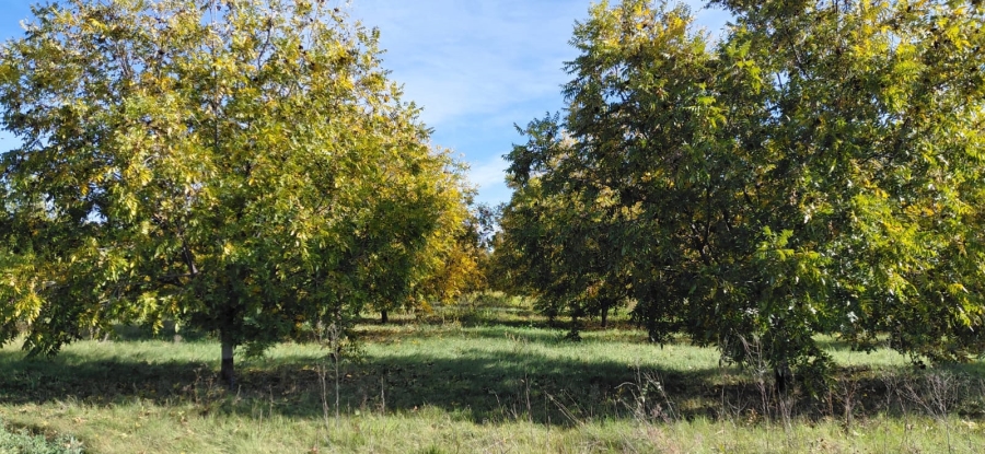 Commercial Property for Sale in Jan Kempdorp Rural Northern Cape